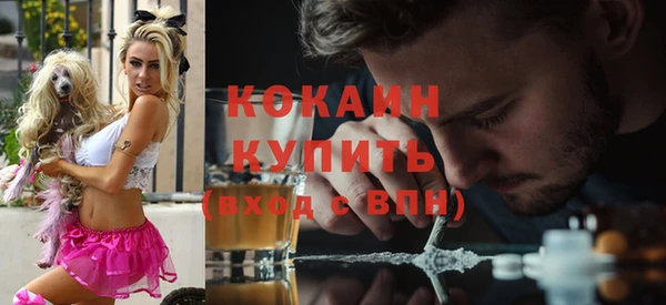 прущие крисы Новозыбков