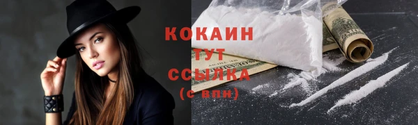 ешки Новодвинск