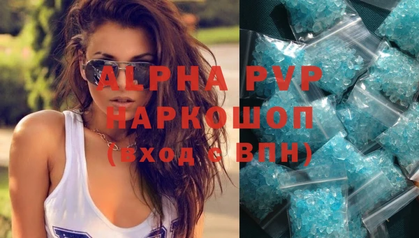 ешки Новодвинск