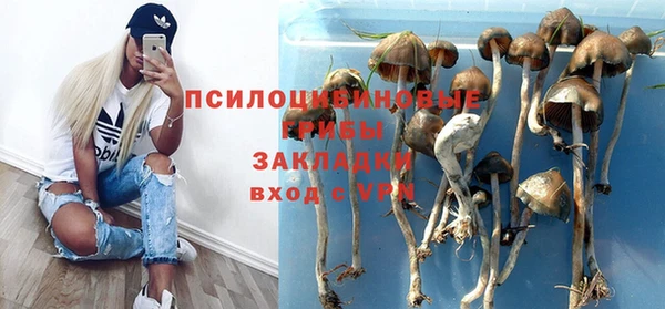 ешки Новокубанск