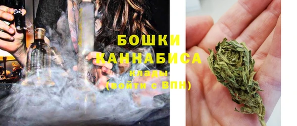 ешки Новодвинск